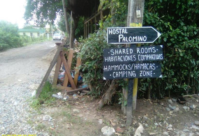 Palomino Hostel | Palomino | La Guajira | Colombia 1