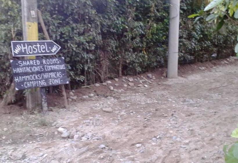 Palomino Hostel | Palomino | La Guajira | Colombia 19