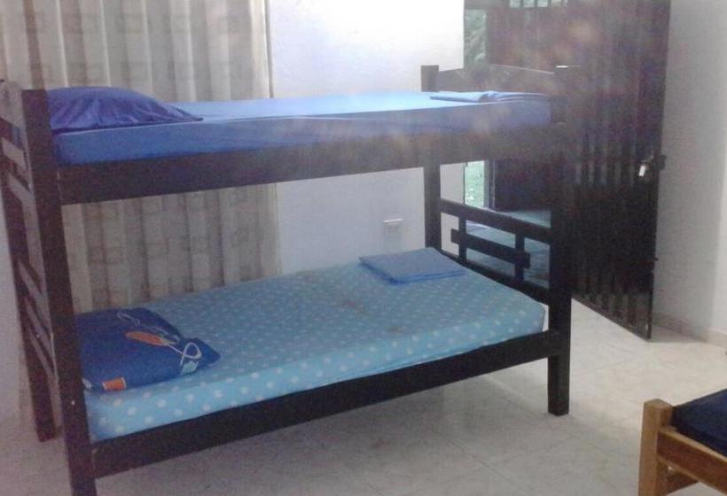 Palomino Hostel | Palomino | La Guajira | Colombia 2