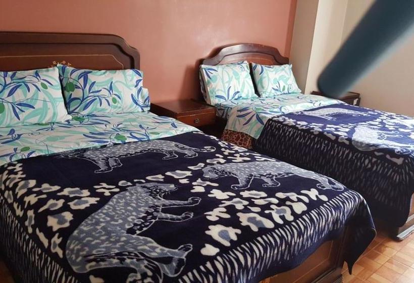 Hotel Nuevo Horizonte | San Juan de Pasto | Nariño | Colombia 6