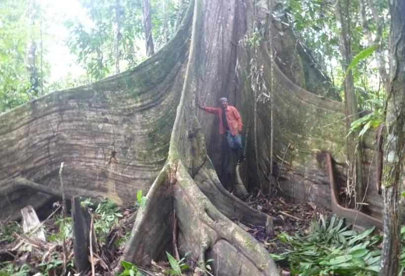 Albergue Macaw Jungle Expeditions | Iquitos | Maynas | Perú 15