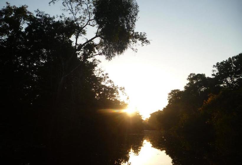 Albergue Macaw Jungle Expeditions | Iquitos | Maynas | Perú 16