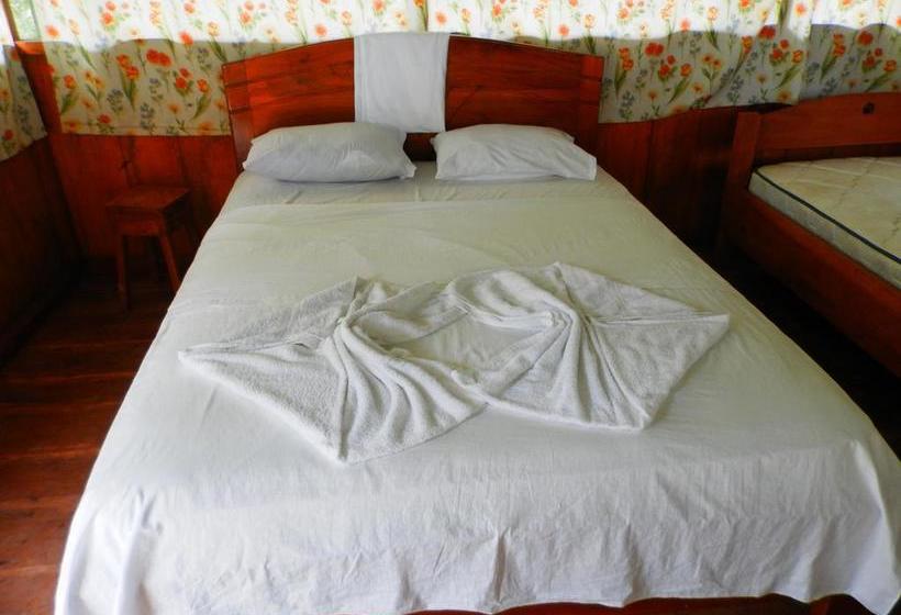 Albergue Macaw Jungle Expeditions | Iquitos | Maynas | Perú 2