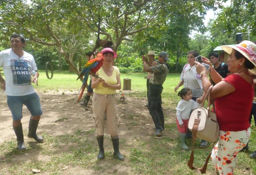 Albergue Macaw Jungle Expeditions | Iquitos | Maynas | Perú 20