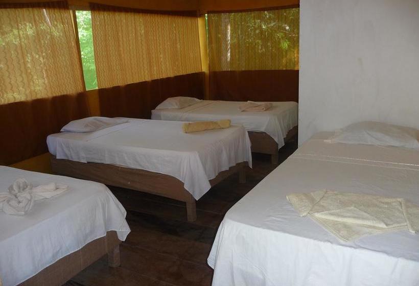 Albergue Macaw Jungle Expeditions | Iquitos | Maynas | Perú 3