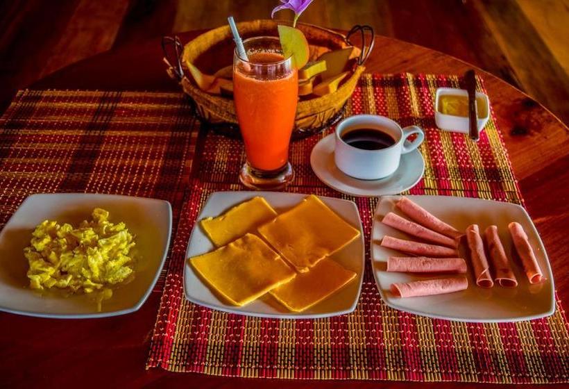 Albergue Macaw Jungle Expeditions | Iquitos | Maynas | Perú 7