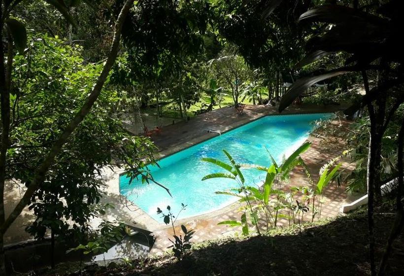 Albergue Rio Elemento