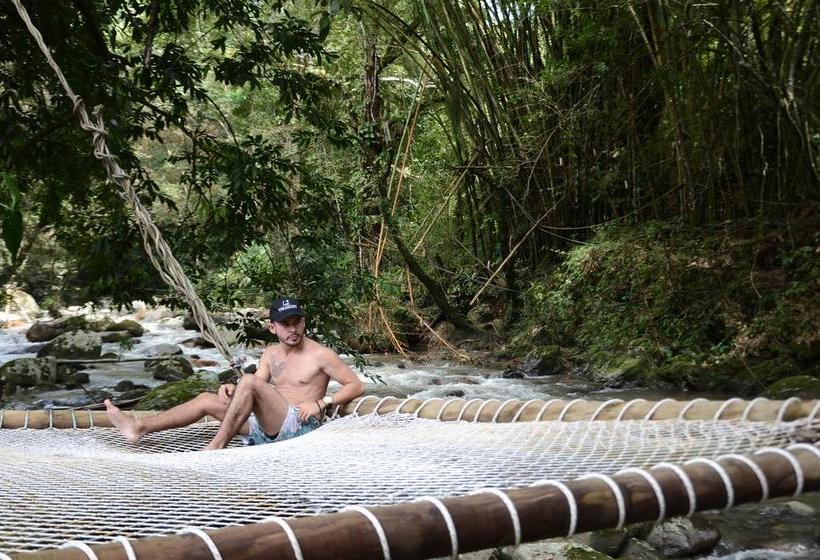 Albergue Rio Elemento | Minca | Magdalena | Colombia 1