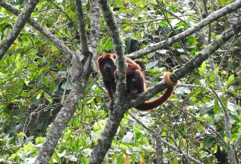 Albergue Rio Elemento | Minca | Magdalena | Colombia 12