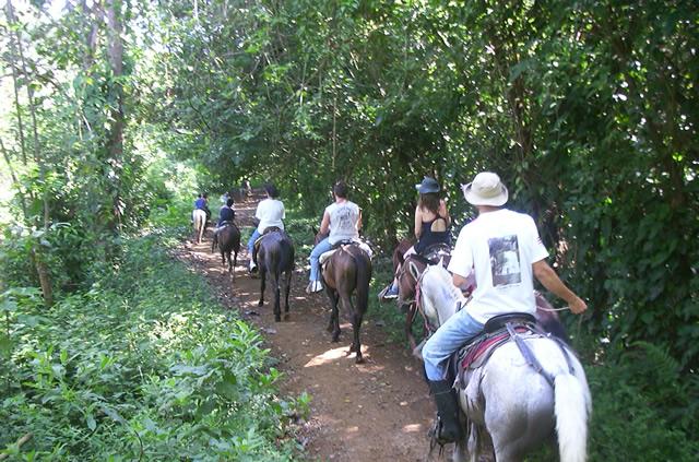 Albergue Rio Elemento | Minca | Magdalena | Colombia 15