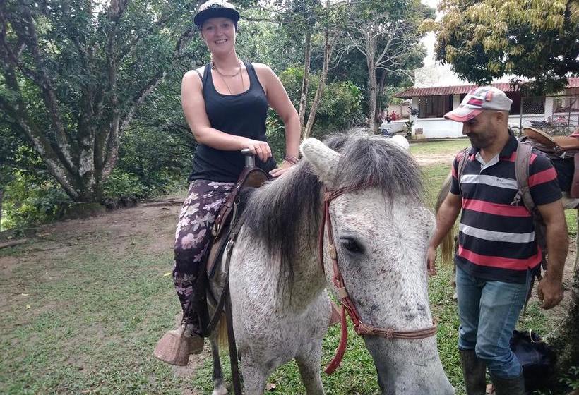 Albergue Rio Elemento | Minca | Magdalena | Colombia 6