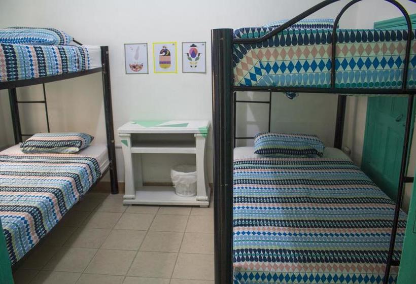 Albergue Medallo Social Hostal | Medellín | Antioquia | Colombia 1