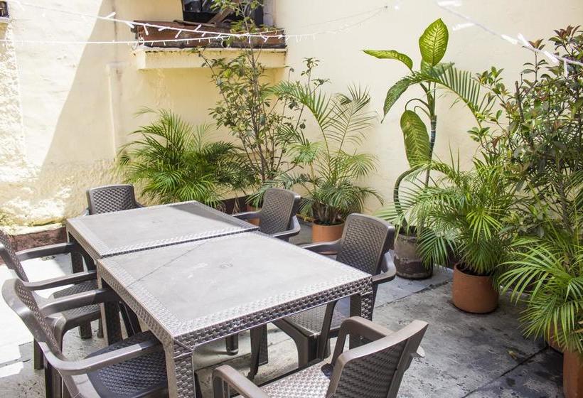 Albergue Medallo Social Hostal | Medellín | Antioquia | Colombia 16