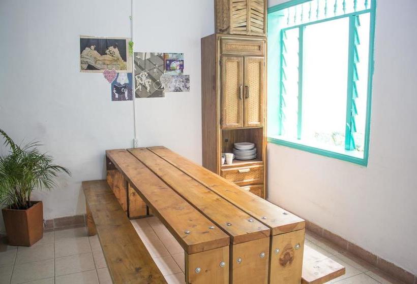 Albergue Medallo Social Hostal | Medellín | Antioquia | Colombia 5