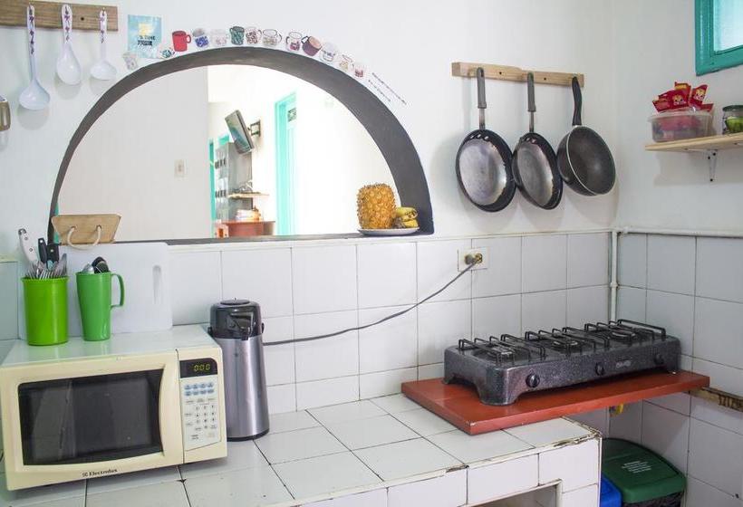 Albergue Medallo Social Hostal | Medellín | Antioquia | Colombia 7