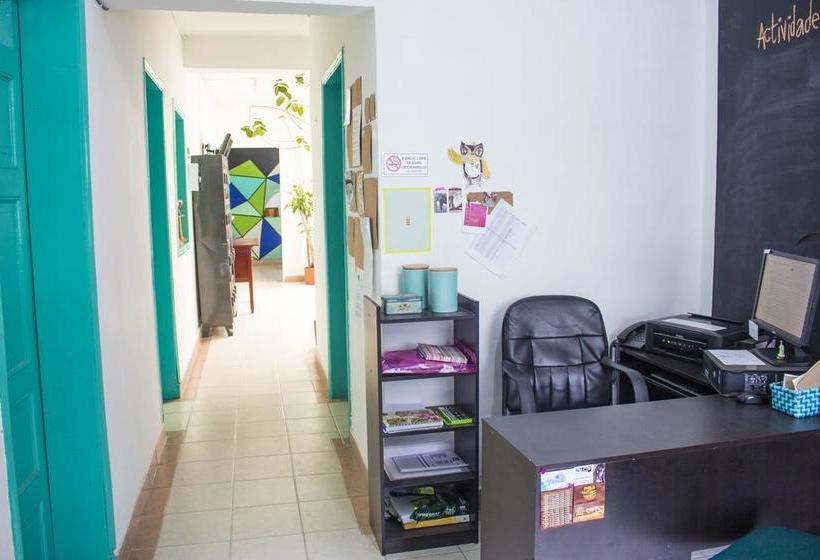 Albergue Medallo Social Hostal | Medellín | Antioquia | Colombia 9