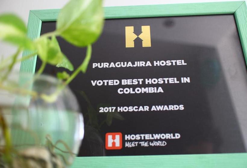 Puraguajira Hostel | Riohacha | La Guajira | Colombia 5