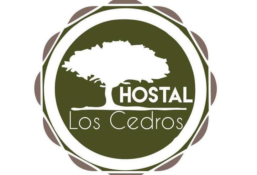 Albergue Hostal Los Cedros | Puerto Maldonado | Tambopata | Perú 1