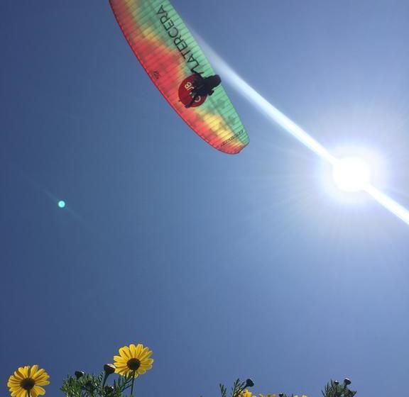 Bed and Breakfast Casa Bugambilia Hostel | Maitencillo | Valparaiso | Chile 12