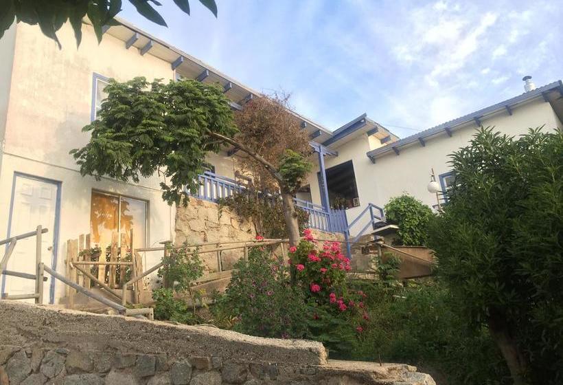 Bed and Breakfast Casa Bugambilia Hostel | Maitencillo | Valparaiso | Chile 4