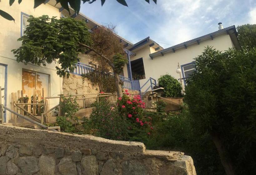 Bed and Breakfast Casa Bugambilia Hostel | Maitencillo | Valparaiso | Chile 6