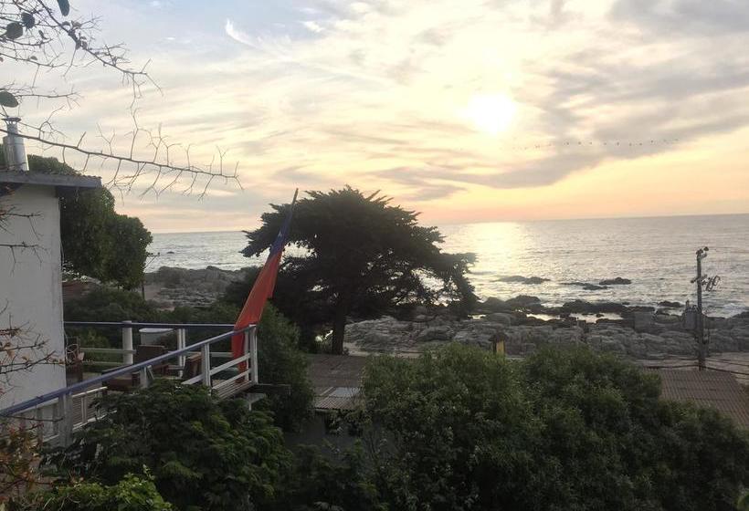 Bed and Breakfast Casa Bugambilia Hostel | Maitencillo | Valparaiso | Chile 7