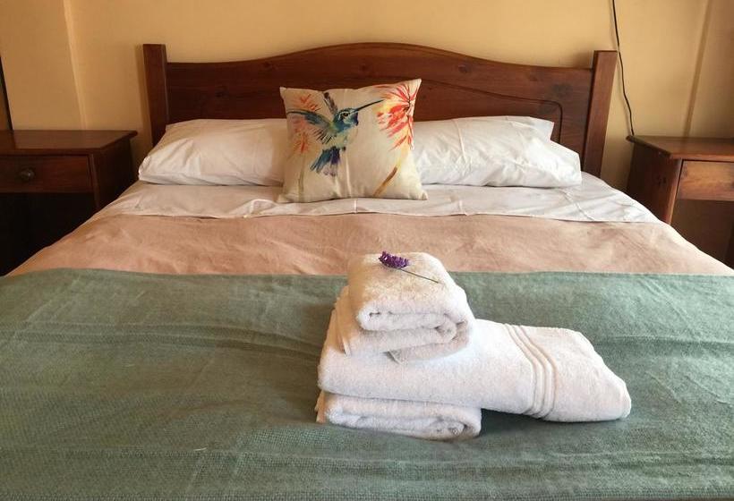 Bed and Breakfast Casa Bugambilia Hostel | Maitencillo | Valparaiso | Chile 8