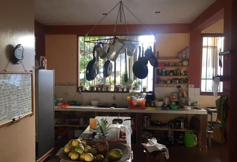 Bed and Breakfast Casa De Campo Rurrenabaque Bolivia