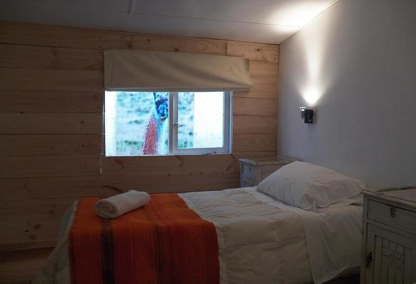 Hotel Casa Hain | Punta Arenas | Magallanes y Antartica | Chile 5