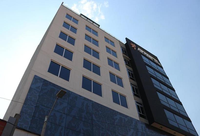 Hotel Arame | Envigado | Antioquia | Colombia 10