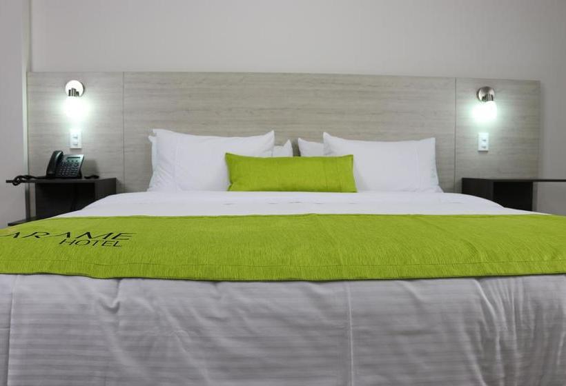 Hotel Arame | Envigado | Antioquia | Colombia 7