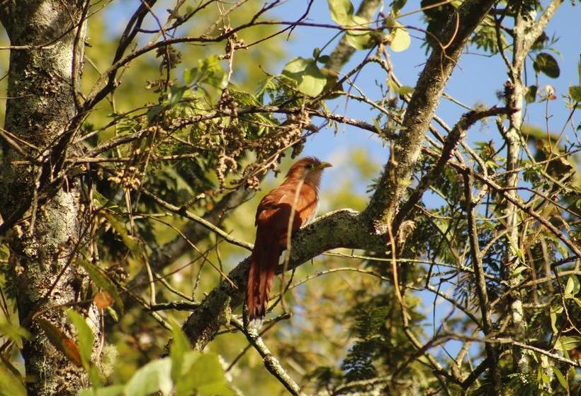 Albergue Colina Arcoiris | Popayán | Cauca | Colombia 10