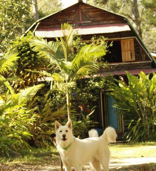Albergue Colina Arcoiris | Popayán | Cauca | Colombia 14