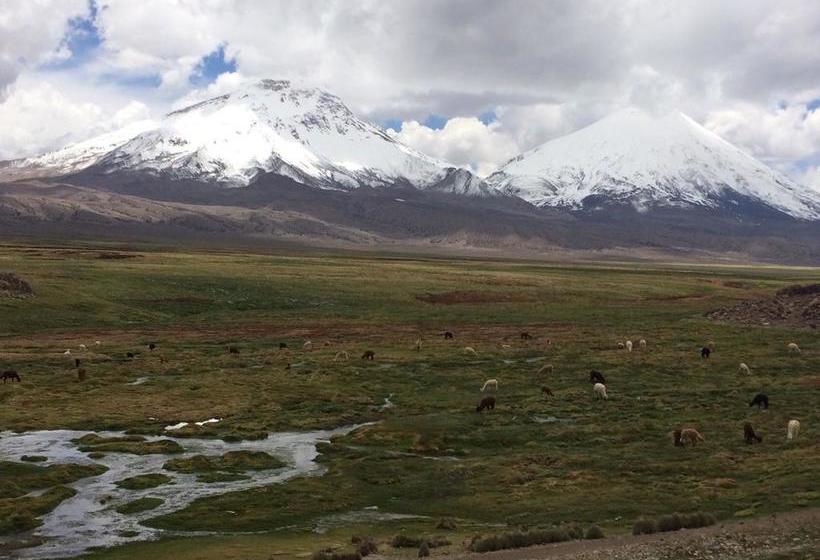 Albergue Vientos Del Altiplano | Putre | Tarapaca | Chile 12