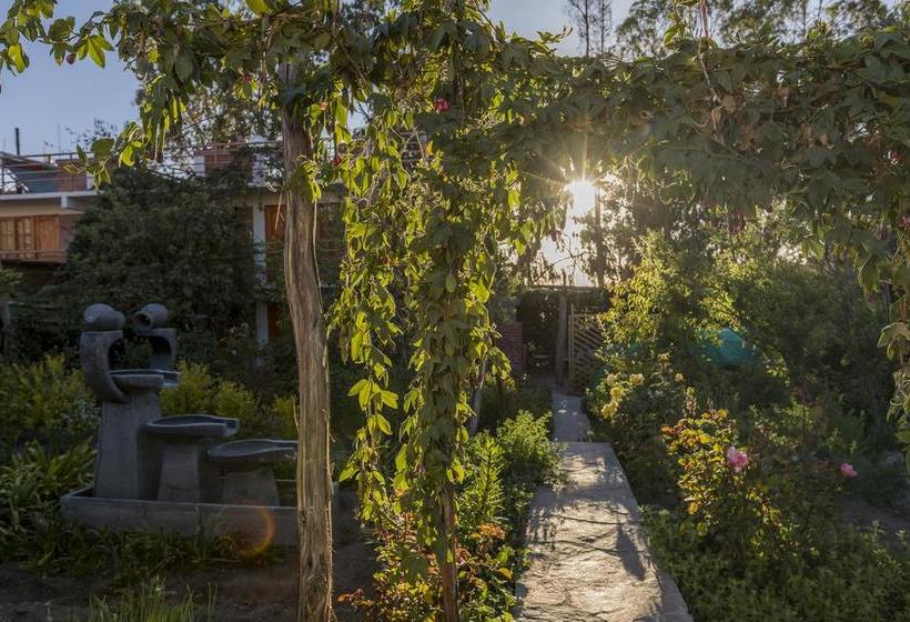 Albergue Vientos Del Altiplano | Putre | Tarapaca | Chile 14