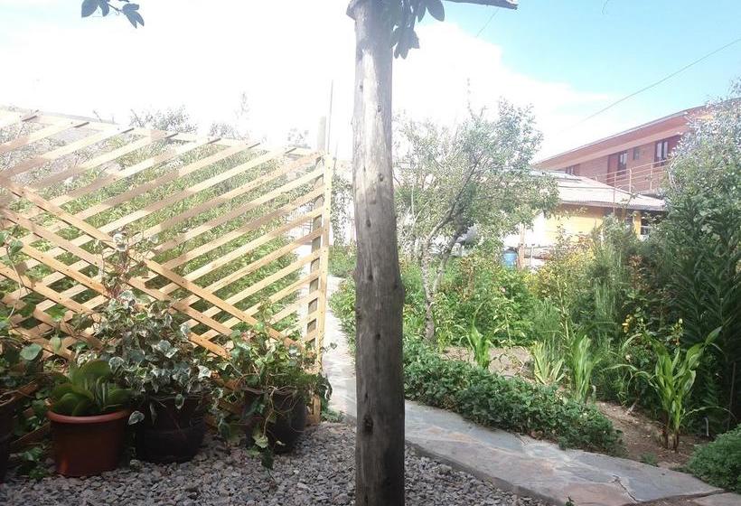 Albergue Vientos Del Altiplano | Putre | Tarapaca | Chile 17