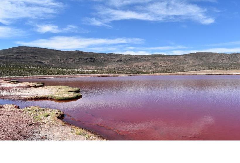 Albergue Vientos Del Altiplano | Putre | Tarapaca | Chile 2
