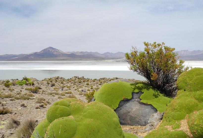 Albergue Vientos Del Altiplano | Putre | Tarapaca | Chile 4