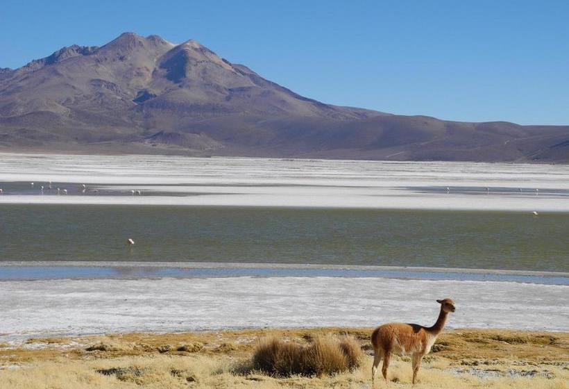 Albergue Vientos Del Altiplano | Putre | Tarapaca | Chile 5