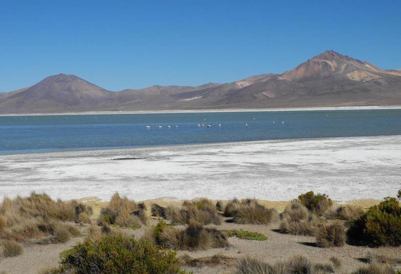 Albergue Vientos Del Altiplano | Putre | Tarapaca | Chile 6