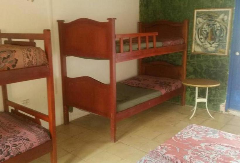 Hotel Playa | Santiago de Tolu | Sucre | Colombia 3