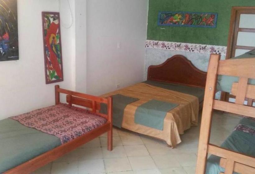 Hotel Playa | Santiago de Tolu | Sucre | Colombia 6