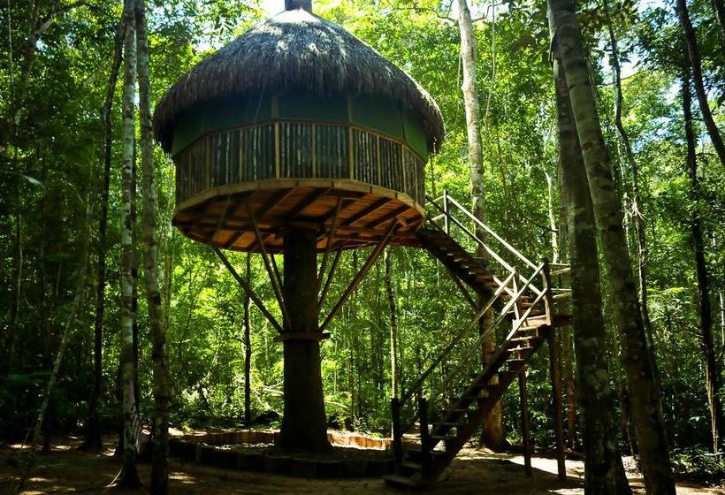 Albergue Treehouses In The Jungle Puerto Maldonado Tambopata
