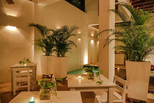 La Casa del Arbol Hotel Boutique by Xarm Hotels | Santa Marta | Magdalena | Colombia 15