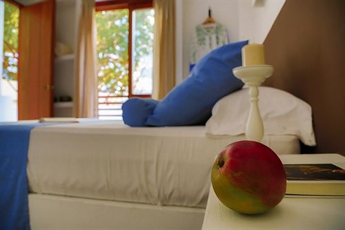 La Casa del Arbol Hotel Boutique by Xarm Hotels | Santa Marta | Magdalena | Colombia 4