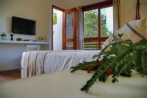 La Casa del Arbol Hotel Boutique by Xarm Hotels | Santa Marta | Magdalena | Colombia 9