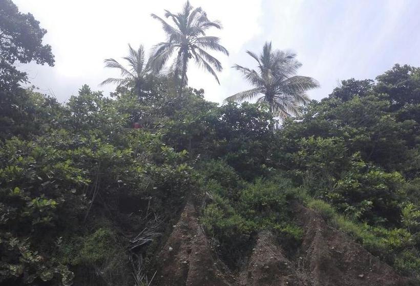 Albergue El Mirador Palomino | Palomino | La Guajira | Colombia 6