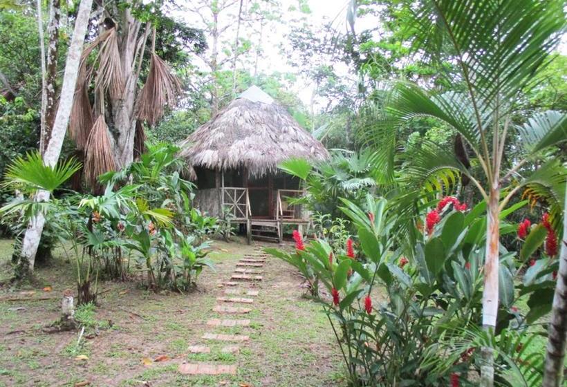 Hotel Jg Expeditions Tours | Iquitos | Maynas | Perú 14