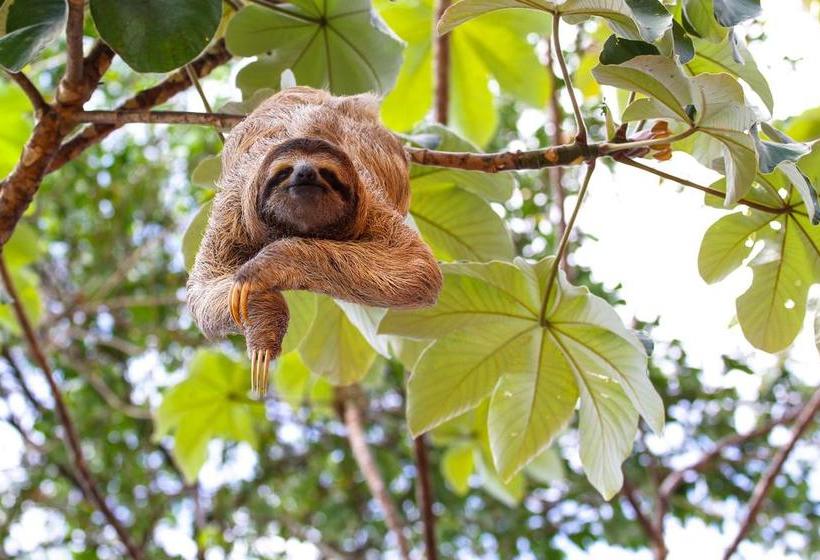 Hotel Jg Expeditions Tours | Iquitos | Maynas | Perú 15