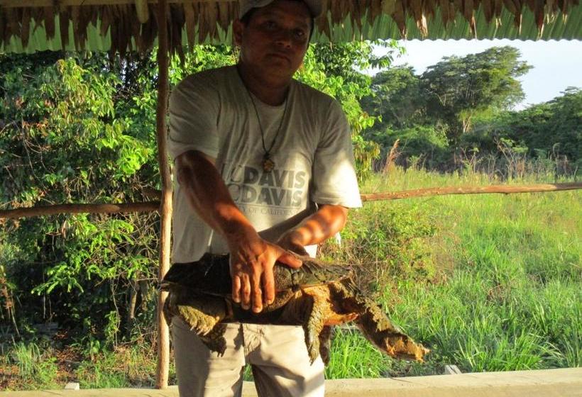 Hotel Jg Expeditions Tours | Iquitos | Maynas | Perú 20